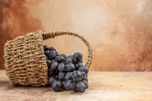 Front view fresh black grapes inside basket on a light background fruit wine mellow ripe photo