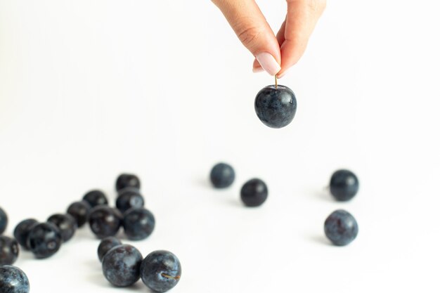 Free photo front view fresh blackthorns sour and dark fruits on the white background fruit fresh summer juice wine