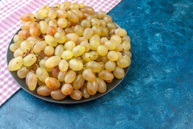 Front view fresh grapes inside plate on blue health tree color mellow sour exotic fruit photo