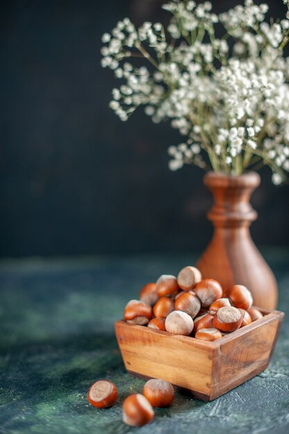 Front view fresh hazelnuts on a dark-blue shell nut cips photo snack walnut peanut color