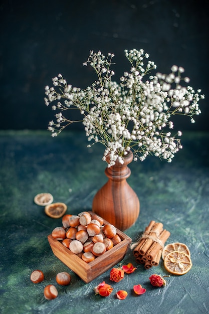 Front view fresh hazelnuts on the dark-blue shell nut cips photo snack walnut peanut color