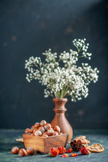 Front view fresh hazelnuts on dark-blue shell nut cips photo walnut peanut color