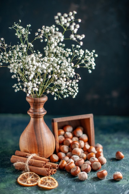 Front view fresh hazelnuts on dark-blue shell nut cips photo walnut peanuts color snack