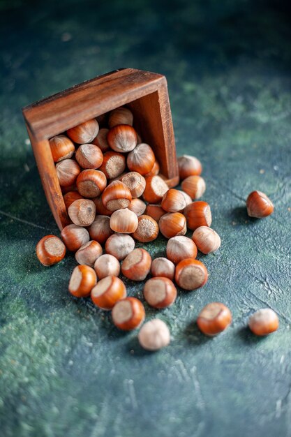 Front view fresh hazelnuts on the dark-blue shell nut photo walnut peanut color snack cips