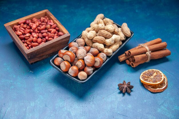 Front view fresh nuts cinnamon peanuts and hazelnuts on blue color snack cips nut walnuts photo plant tree