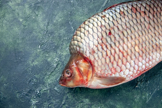 正面図紺色の表面に新鮮な生の魚肉水海洋食品オメガカラー横型食事シーフード