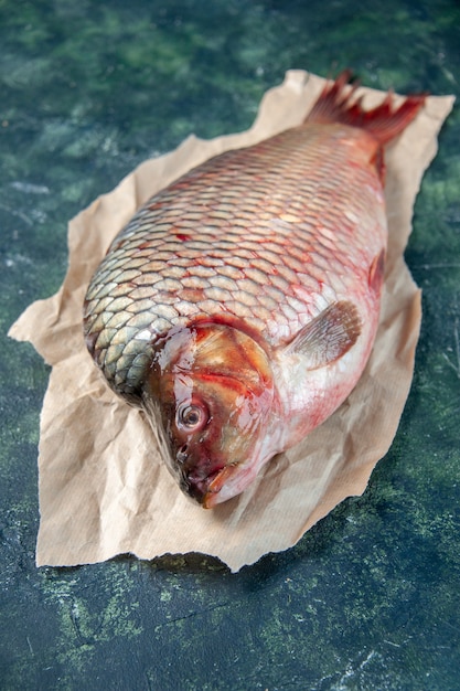 無料写真 正面図紺色の表面の新鮮な生の魚食品水海オメガシーフード色水平肉骨粉