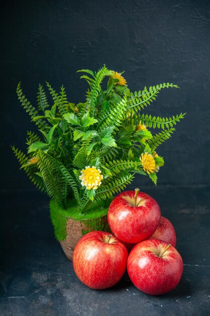 Front view fresh red apples with green plant on dark background mellow pear apple food ripe color diet