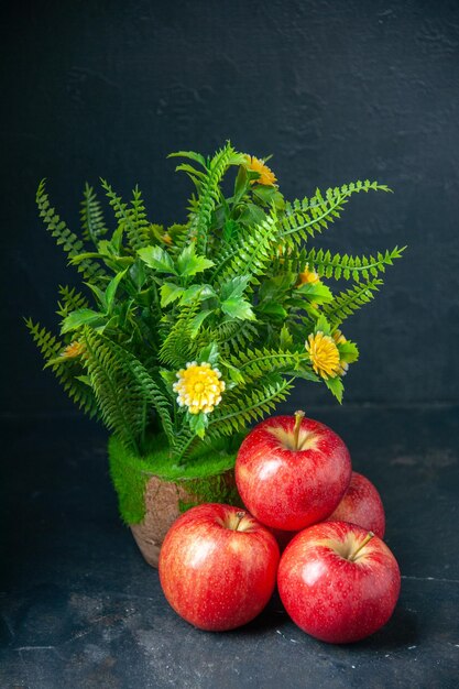 正面図暗い背景に緑の植物と新鮮な赤いリンゴまろやかな梨リンゴ食品熟した色の食事療法