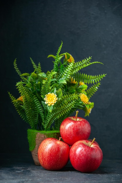 Front view fresh red apples with green plant on dark background mellow pear food ripe color vitamine diet apple