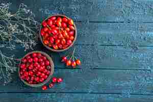 Free photo front view fresh red berries inside plates on dark wooden desk berry wild fruit health photo color free space