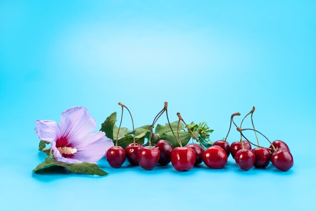 파란색에 부드럽고 신맛이 나는 전면보기 신선한 빨간 체리