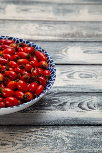 Front view fresh red fruits ripe and sour berries inside plate on grey surface fruit berry color vitamine tree