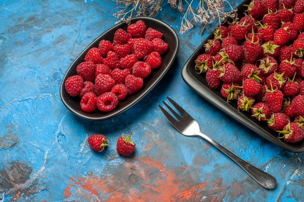 Front view fresh red raspberries inside black tray on blue background  plant tree color wild ripe fruit berry