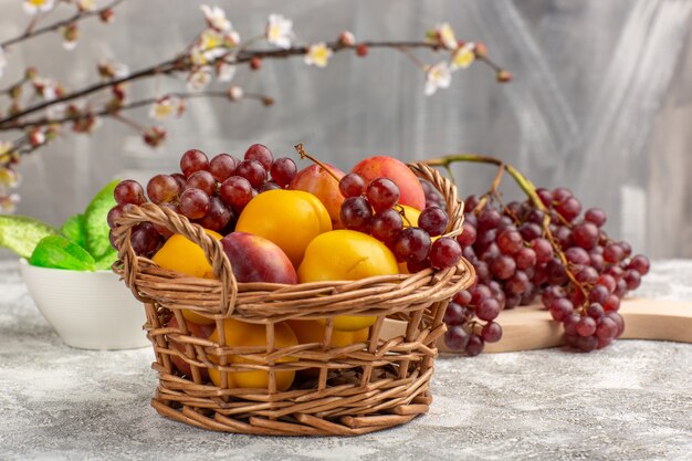 Front view fresh sweet apricots with plums inside basket along with grapes on the white desk