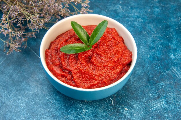 Front view fresh tomato paste on blue color salad red tree vegetable food ripe