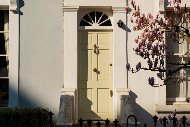 Front view of front door with beige wall and plants