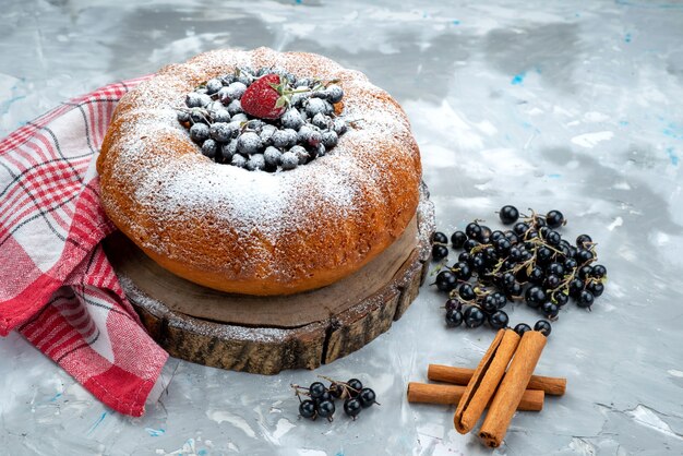 A front view fruit cake delicious and round formed with fresh blue,berries on bright, cake biscuit sweet sugar