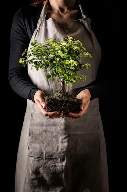 Foto gratuita giardiniere di vista frontale che tiene piccolo albero