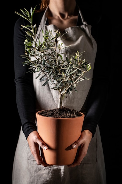 鉢植えの植物を保持している正面の庭師