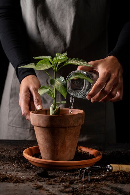 Front view gardener with apron watering plant