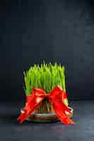 Free photo front view green holiday semeni with red bow on dark surface