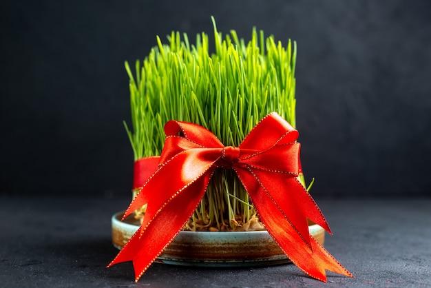 Front view green holiday semeni with red bow on dark surface