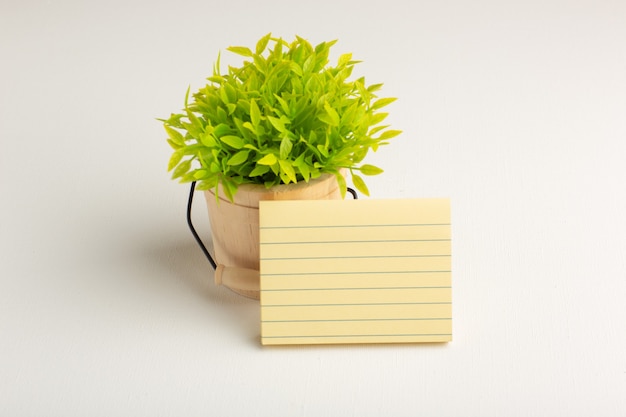 Вид спереди зеленое растение с бумагой на белой поверхности