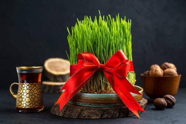 Free photo front view green semeni with red bow on dark surface