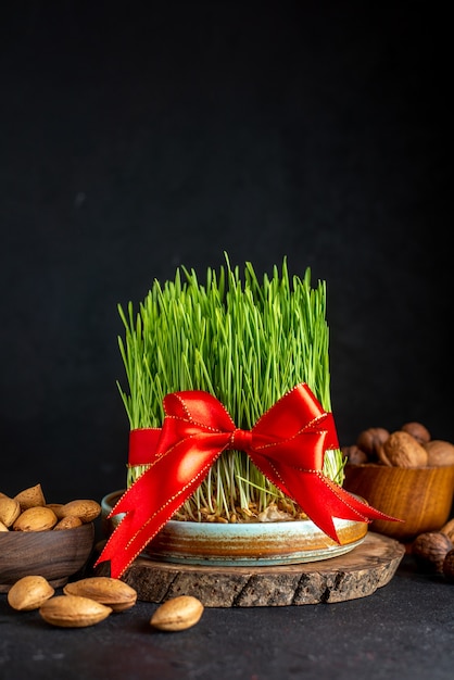 Front view green semeni with red bow nuts and walnuts on dark surface