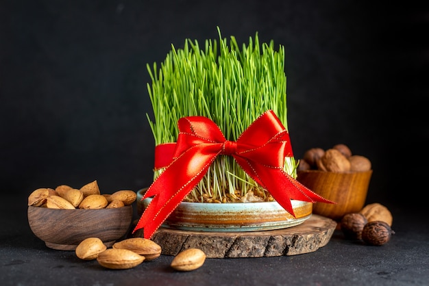 Free photo front view green semeni with red bow nuts and walnuts on dark surface