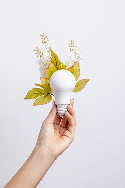 Front view of hand held light bulb with flowers and leaves