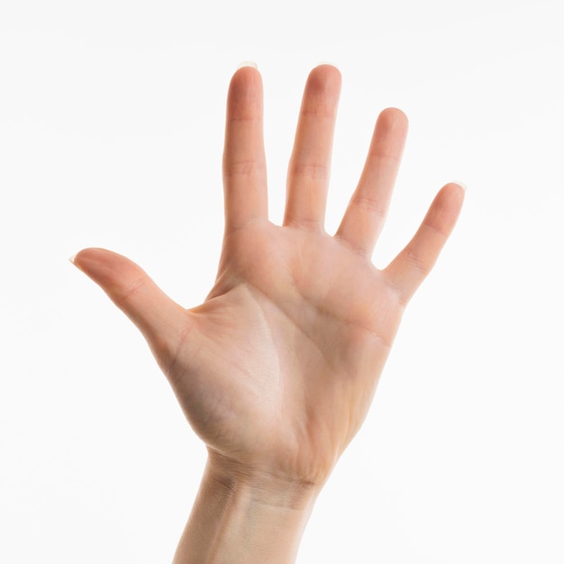 Front view of hand showing palm