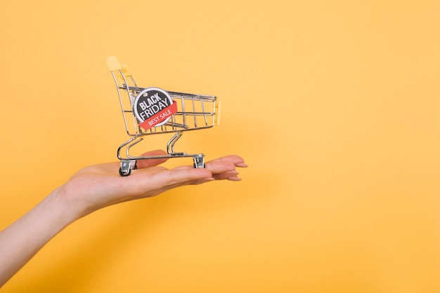 Front view hand with black friday sign on cart