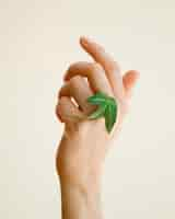 Free photo front view of hand with green leaf