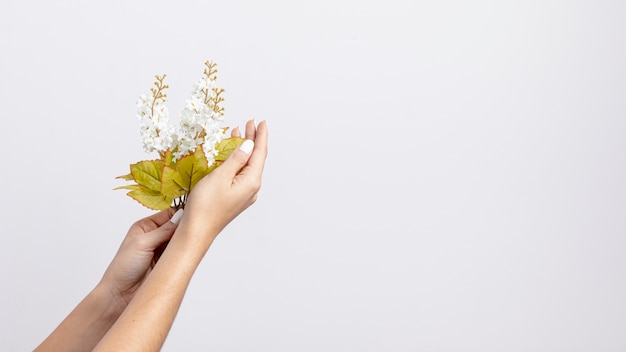 Free photo front view of hands holding flowers with copy space