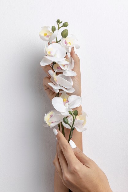 Front view of hands holding orchid