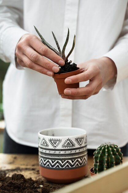 Front view hands holding small potted plant