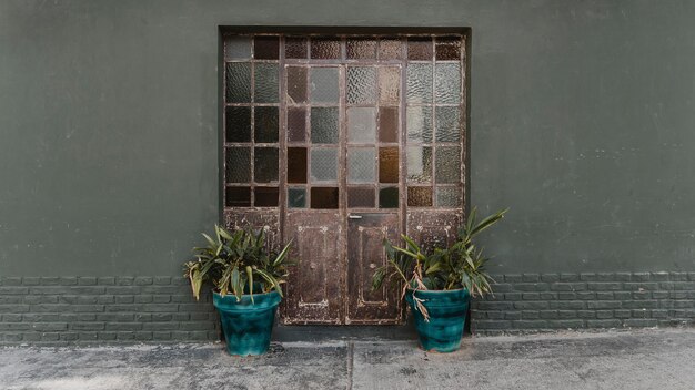 ガラスと植物の家のドアの正面図