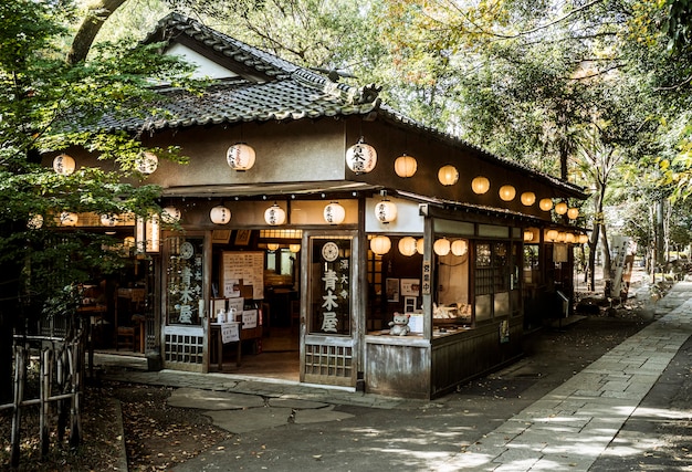 Вид спереди на структуру японского храма