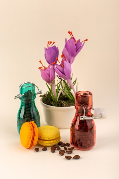 A front view jar with coffee french macarons and purple plant on the pink surface