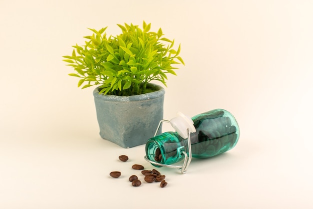 Foto gratuita un barattolo di vista frontale con caffè e pianta verde sul seme di fiori di colore caffè tavolo rosa