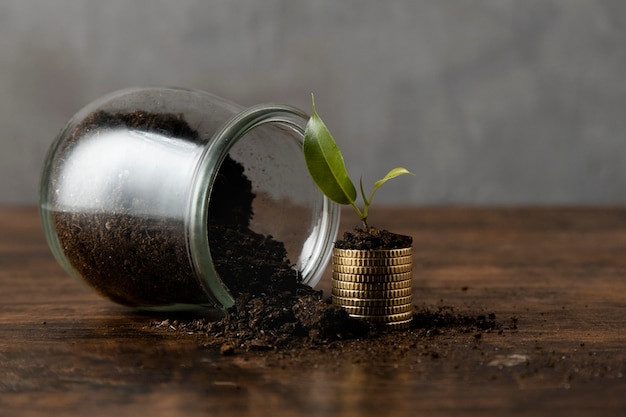 Front view of jar with dirt and stacked coins with plant