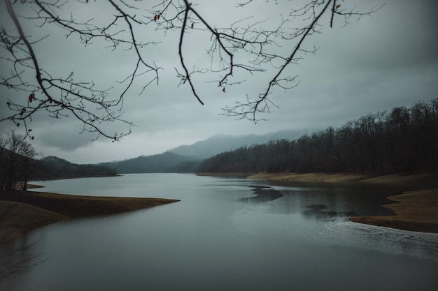 Free photo front view of landscape with trees hills and beautiful river