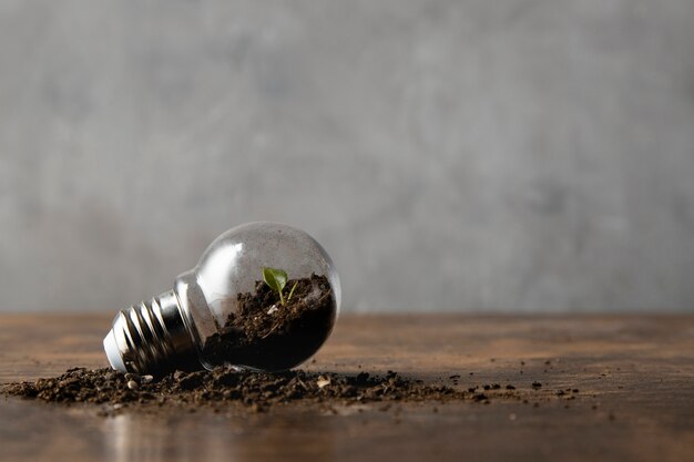 Front view of light bulb with copy space and dirt