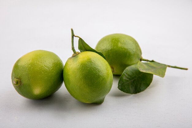 Front view limes on white background