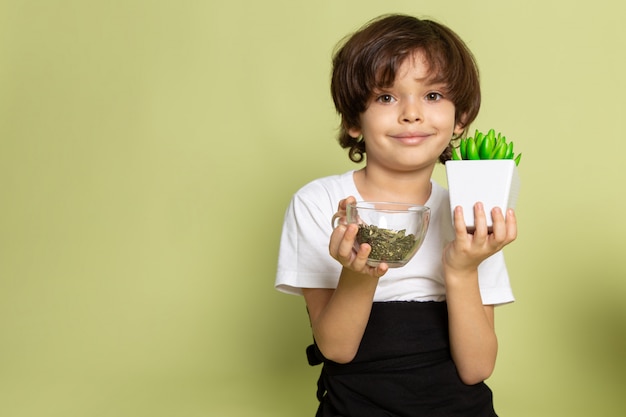 A front view little boy holding species and green little plant in white t-shirt on the stone colored floor