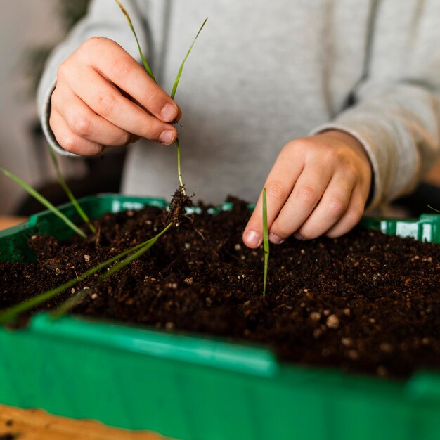 家で新芽を植える小さな男の子の正面図