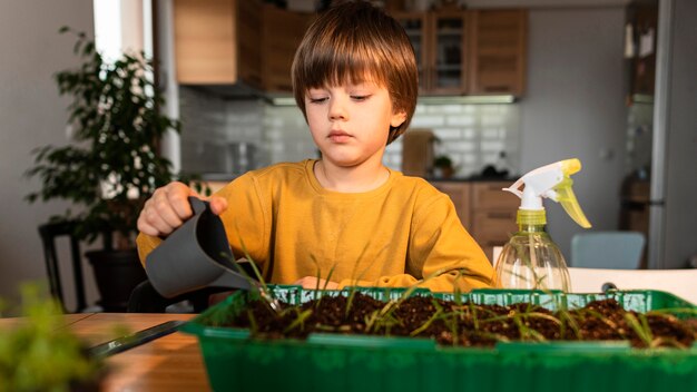 Вид спереди маленького мальчика, поливающего урожай дома