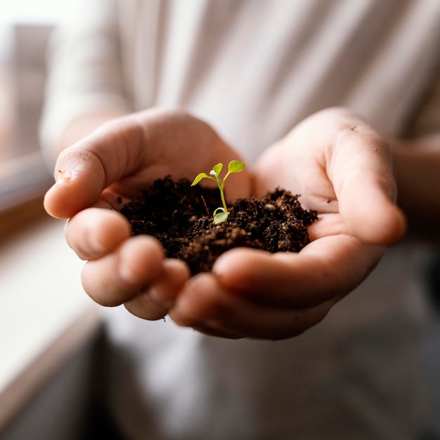 Free photo front view of little child holding dirt and sprout in his hands